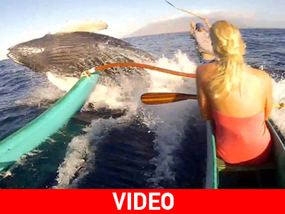 Μια απρόσμενη πρόσκρουση