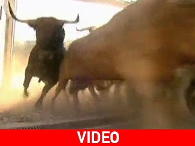 Πέντε νέοι τραυματισμοί στο φεστιβάλ του Σαν Φερμίν Πέντε νέοι τραυματισμοί στο φεστιβάλ του Σαν Φερμίν