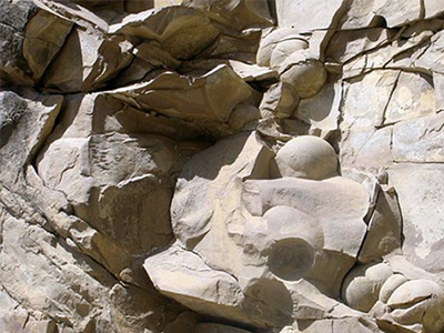 Τσετσενία: Ανακαλύφθηκαν αυγά δεινοσαύρου