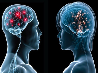 Το σεξ, ο εγκέφαλος και οι παρορμήσεις