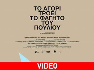 «Το αγόρι τρώει το φαγητό του πουλιού»