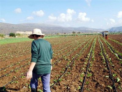 Όλη η ρύθμιση για το «κούρεμα» των δανείων των αγροτών