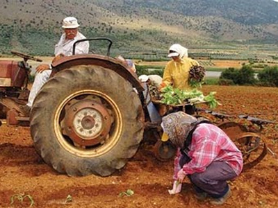 Κατάρρευση του αγροτικού εισοδήματος τα δύο τελευταία χρόνια