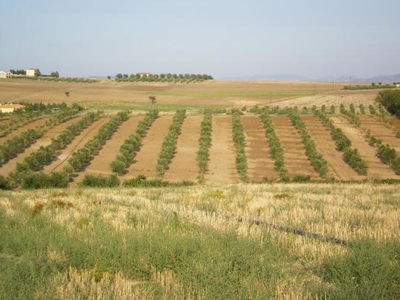 Νέες επιβαρύνσεις από την επέκταση του συστήματος αντικειμενικών αξιών