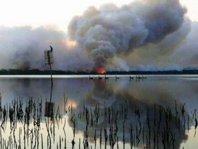 Αυστραλία: Οι Έλληνες της Τασμανίας στο πλευρό των πυρόπληκτων
