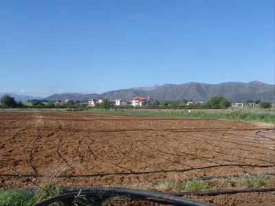 Δημοτικός λαχανόκηπος στην Τρίπολη