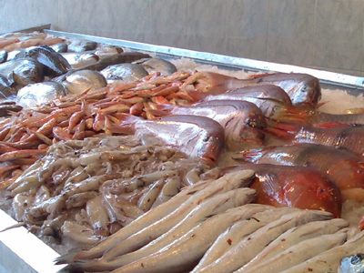 Κατάσχεση αλιευμάτων στη Ν. Μηχανιώνα