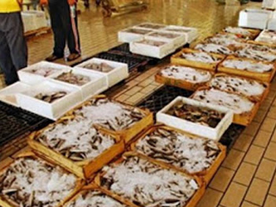 Κατάσχεση αλιευμάτων στην Καβάλα