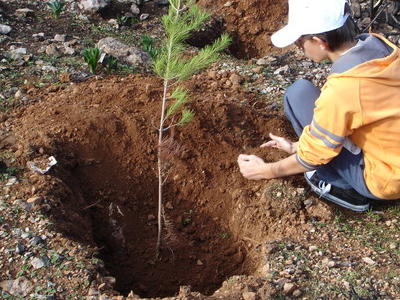 Εθελοντική αναδάσωση στη Θεσσαλονίκη