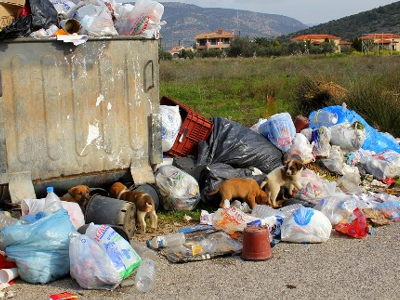 Αντιμετωπίστηκε το πρόβλημα των απορριμμάτων