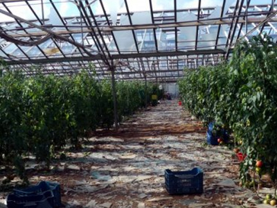 Προχωρά η διαδικασία για την αποζημίωση των παραγωγών σε Ημαθία και Πέλλα