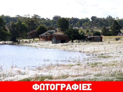 Μακάβρια εισβολή στην Αυστραλία