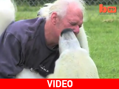 Διαφέρει μόνο στο μέγεθος