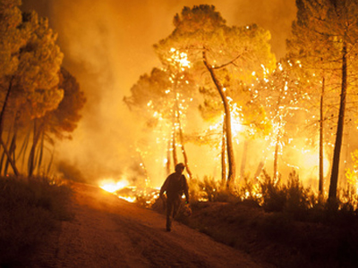 Ισπανία: Βιβλική καταστροφή από την πυρκαγιά στην Καστίλια υ Λεόν Ισπανία: Βιβλική καταστροφή από την πυρκαγιά στην Καστίλια υ Λεόν