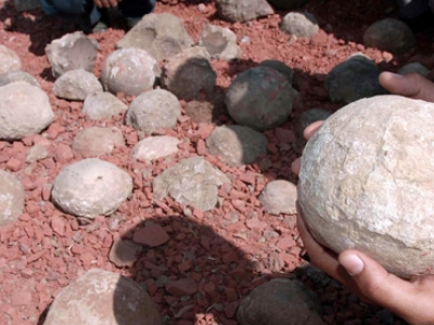 Τα αυγά των δεινοσαύρων εξηγούν την εξαφάνισή τους