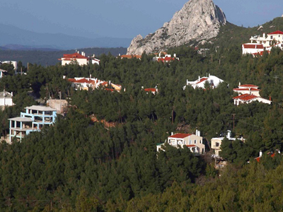 Τσιμέντο στα δάση