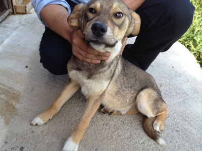 Χαρίζεται ο Μπέλο