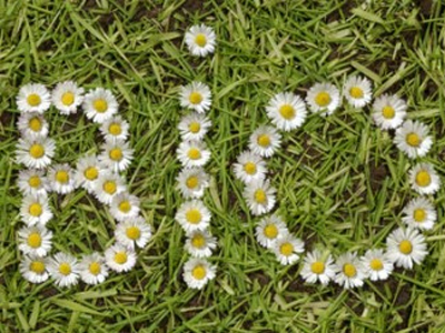 Παράταση για την ένταξη στη «Βιολογική Κτηνοτροφία»