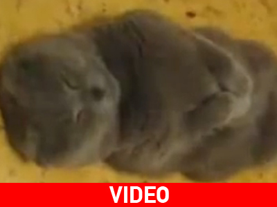 Αυτό θα πει… ξάπλες!