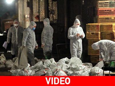 Κλειστές οι αγορές πουλερικών στη Σανγκάη