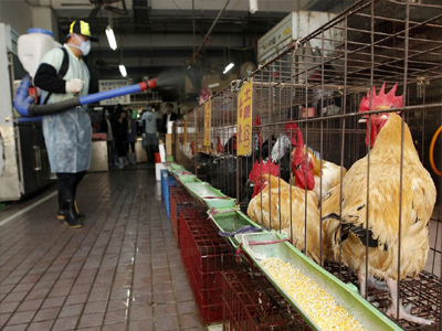 Κίνα: 14 νεκροί από τον H7N9