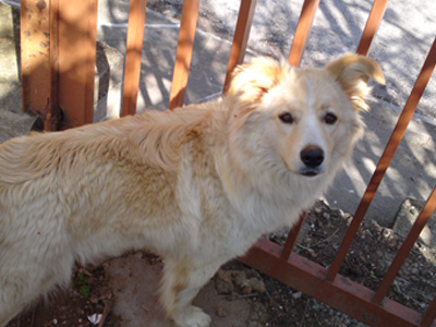 Η Cindy ακόμη ψάχνει σπίτι