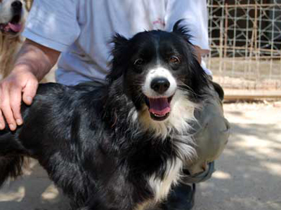 Βρέθηκε η Χλόη