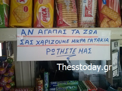 Χαρίζουν γατάκια σε… περίπτερο