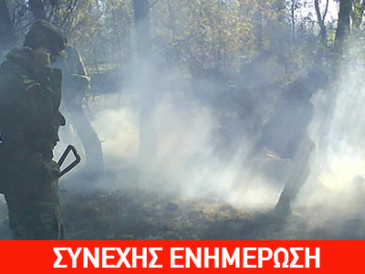 Πυρκαγιά στο Κέντρο Εκπαίδευσης Τεθωρακισμένων στον Αυλώνα