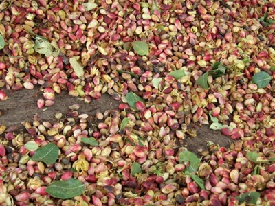 Άδειασε αποθήκη στην Αίγινα