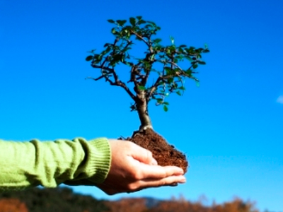 Δενδροφύτευση στο όρος Αιγάλεω από τον Δήμο Κερατσινίου – Δραπετσώνας