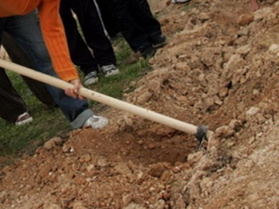 Δενδροφύτευση από τον ΣΠΑΠ