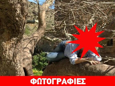 Ποια γνωστή παρουσιάστρια ποζάρει πάνω στο δέντρο;