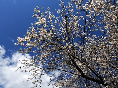 Ο καιρός σήμερα