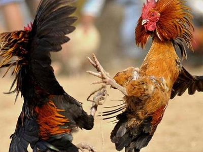 Κατηγορίες σε βάρος της πριγκίπισσας της Ρουμανίας