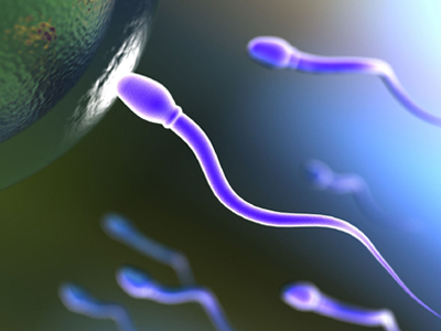 Παράγοντες που επηρεάζουν την ανδρική υπογονιμότητα