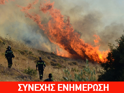 Τρίπολη: Πυρκαγιά σε δασική έκταση