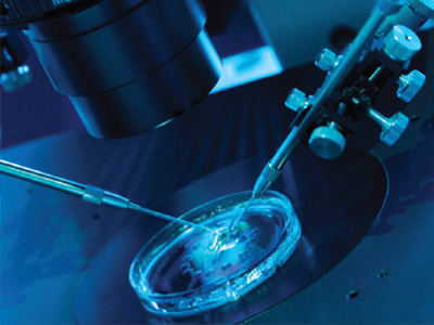 Εξωσωματική γονιμοποίηση με φυσικό κύκλο