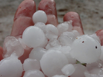 Κλιμάκιο του ΕΛΓΑ στη Μαντινεία