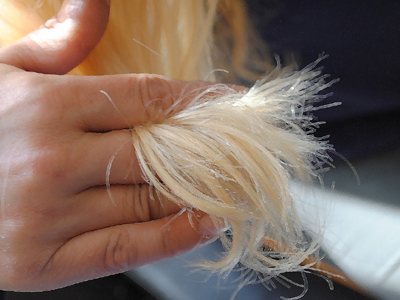 Καταπολεμήστε την ψαλίδα