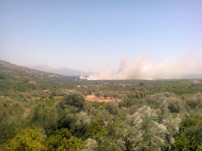 Σε εξέλιξη δασική πυρκαγιά στην περιοχή Λάγια Λακωνίας
