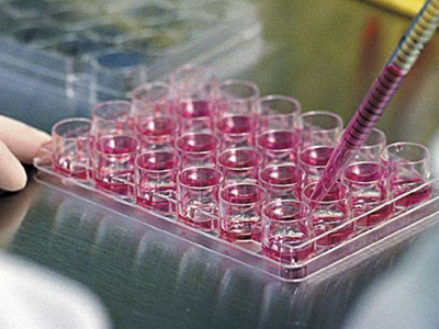 Δημιουργία βλαστοκυττάρων μέσω κλωνοποίησης