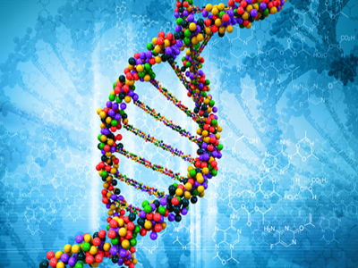 Επιστήμονες ανακάλυψαν νέα γονίδια που επηρεάζουν το ύψος ενός ανθρώπου