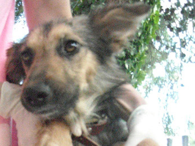 Ποιος θα τη φιλοξενήσει;