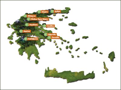 Περιβαλλοντικές δράσεις από Αύρα και Αρκτούρο