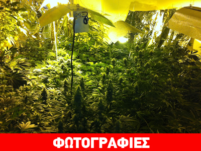 Θεσσαλονίκη: 48χρονος καλλιεργούσε κάνναβη στο σπίτι του