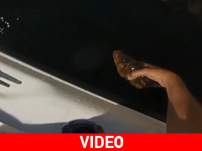 Το πεπρωμένο φυγείν… αδύνατον!‏