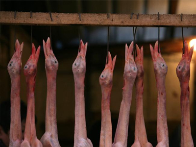 Διατροφικό σκάνδαλο με πάπιες στην Κίνα