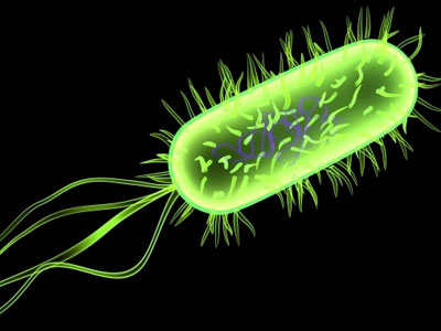 Δημιουργήθηκε ο πρώτος ζωντανός ημι-συνθετικός οργανισμός