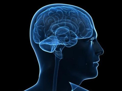 Επιστημονικός «τσελεμεντές» για την υγεία του εγκεφάλου